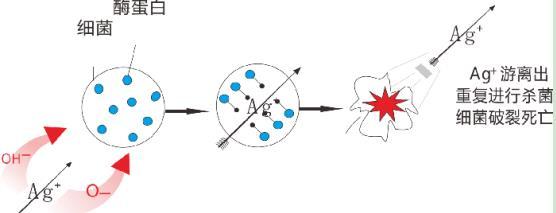 龍勝三層納米抗菌水管有效嗎？配圖解原理，99.99%抗菌率不是蓋的！