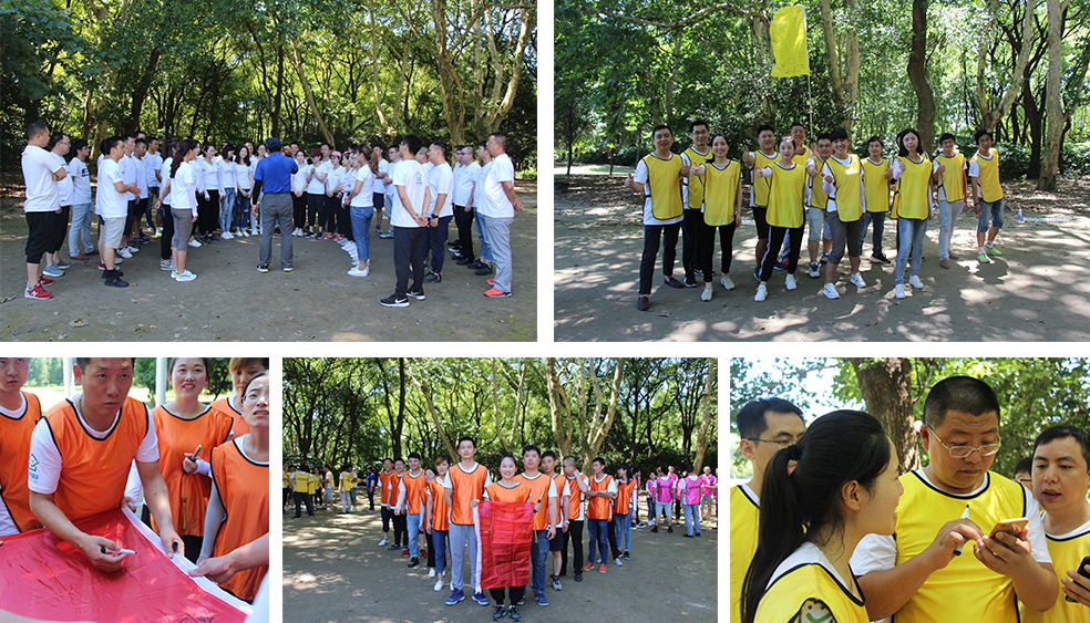 龍勝管拓展訓(xùn)練燃爆夏日，我們“激情不減，活力無限”